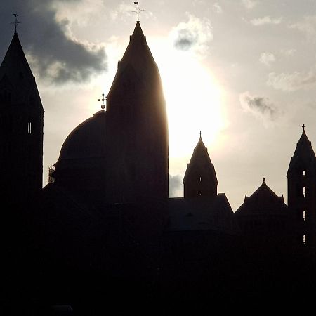 Апартаменти Wohnen Direkt Am Rhein, Zentrums- Und Domnah, 55Qm Шпаєр Екстер'єр фото