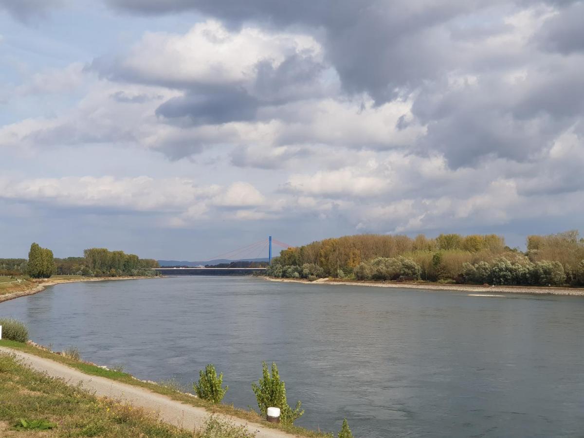 Апартаменти Wohnen Direkt Am Rhein, Zentrums- Und Domnah, 55Qm Шпаєр Екстер'єр фото
